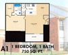 Trinity Park 1Bed 1Bath A1 Floorplan Trinity Park 1Bed 1Bath A1 Floorplan